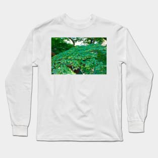 SF Japanese Tea Garden Study 15 Long Sleeve T-Shirt